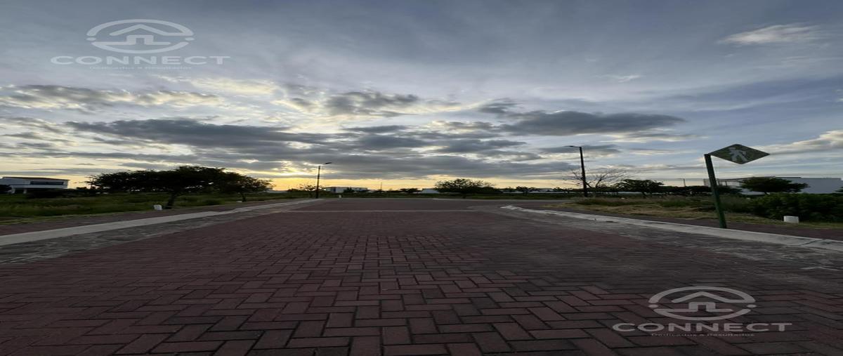 Foto de terreno habitacional en venta en  , ciudad maderas, lagos de moreno, jalisco, 0 No. 05