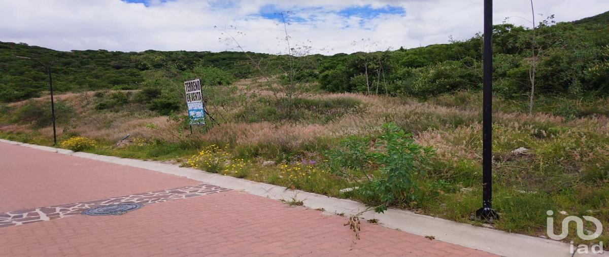 Foto de terreno comercial en venta en ciudad maderas montaña , ciudad maderas montaña, el marqués, querétaro, 28721534 No. 04