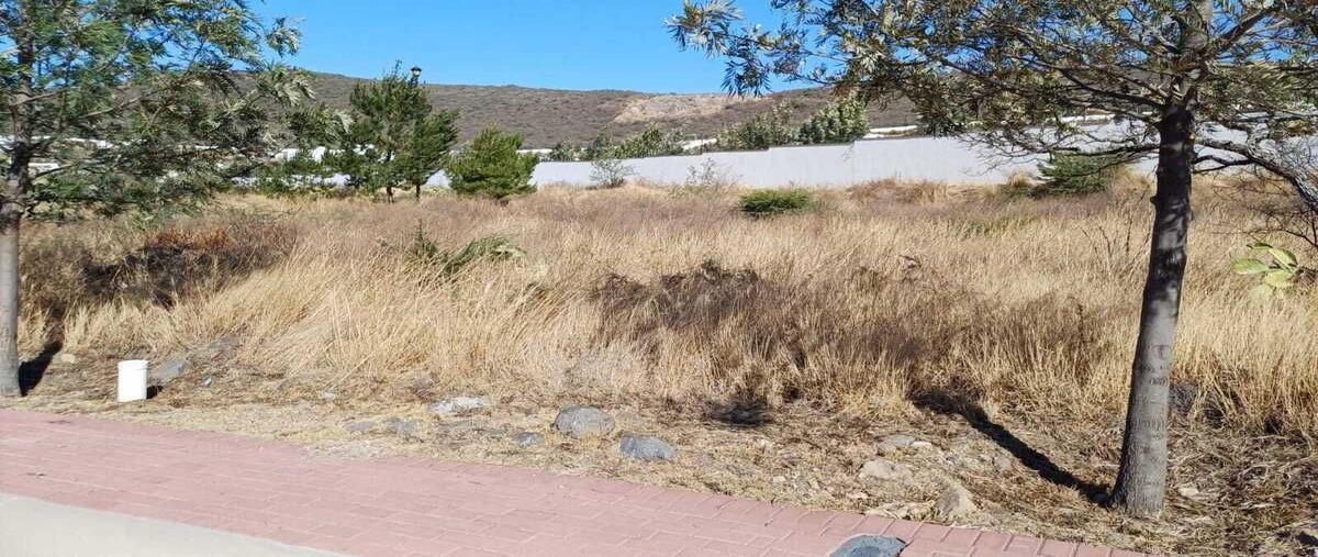 Foto de terreno habitacional en venta en  , ciudad maderas montaña, el marqués, querétaro, 28848682 No. 04