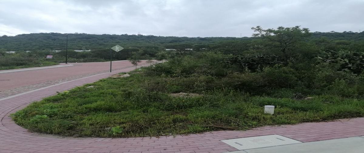 Foto de terreno habitacional en ciudad maderas montaña pirul , ciudad maderas, el marqués, querétaro, 0 foto 01 Foto de terreno habitacional en venta en ciudad maderas montaña pirul , ciudad maderas, el marqués, querétaro, 0 No. 01