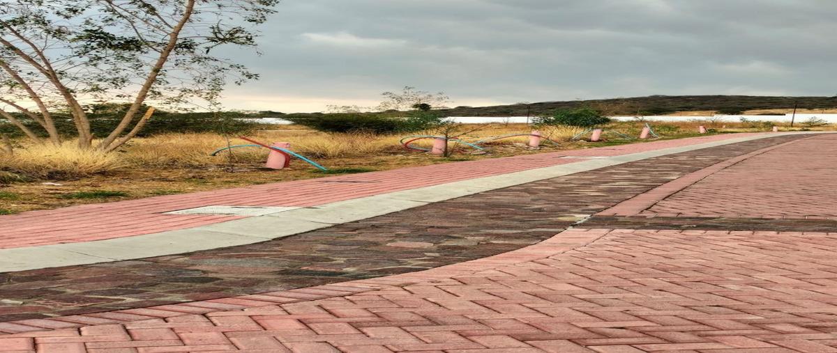 Foto de terreno habitacional en venta en ciudad maderas peninsula , chuburna puerto, progreso, yucatán, 0 No. 05