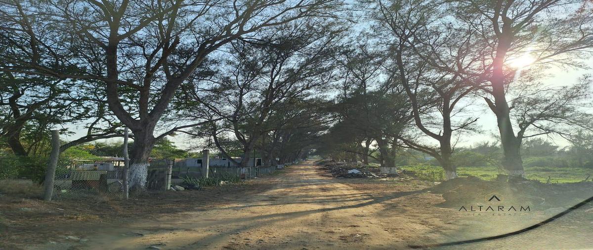 Foto de terreno habitacional en venta en  , ciudad madero centro, ciudad madero, tamaulipas, 27943782 No. 03
