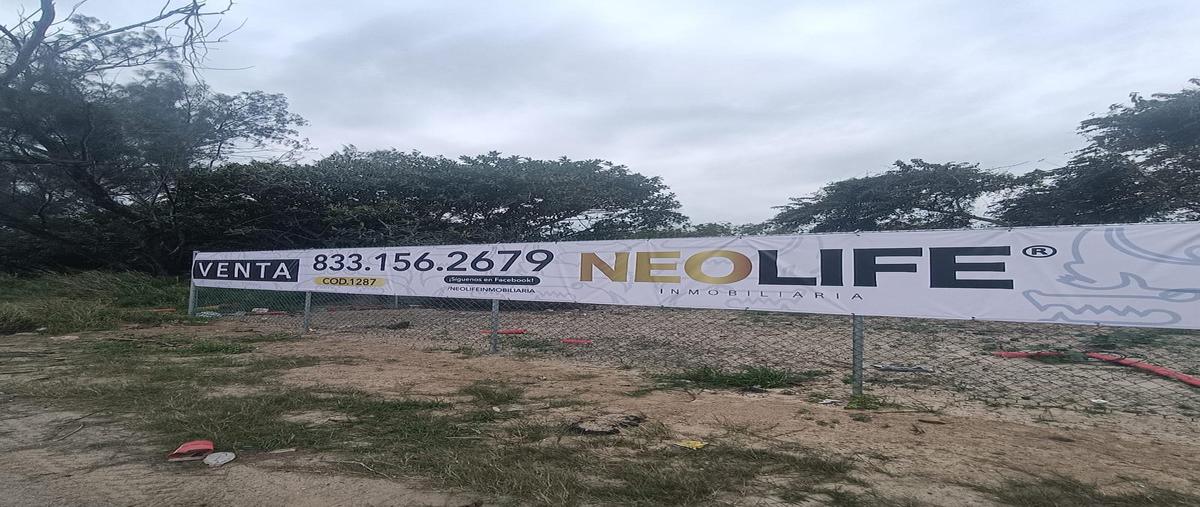 Foto de terreno habitacional en renta en  , ciudad madero centro, ciudad madero, tamaulipas, 0 No. 03