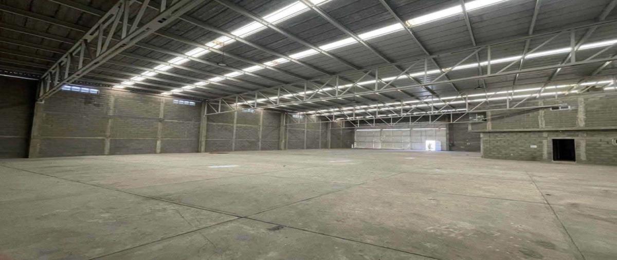 Foto de local en renta en  , ciudad madero centro, ciudad madero, tamaulipas, 30391257 No. 03