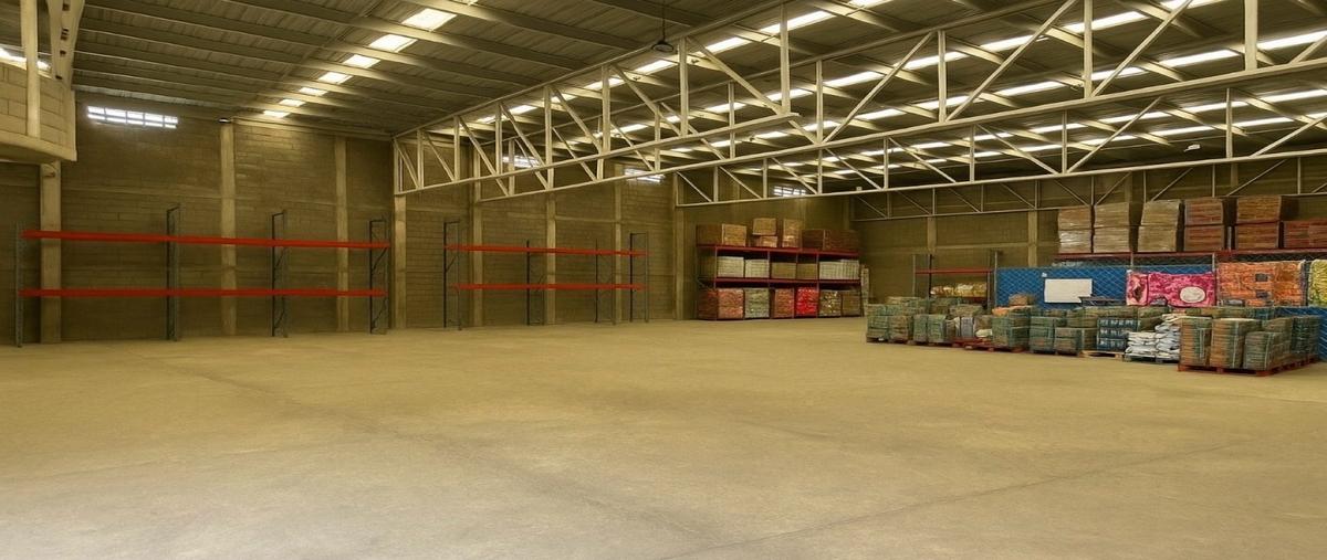 Foto de local en renta en  , ciudad madero centro, ciudad madero, tamaulipas, 30391257 No. 04