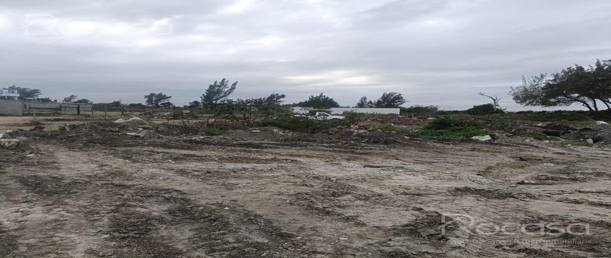 Foto de terreno habitacional en venta en  , ciudad madero centro, ciudad madero, tamaulipas, 0 No. 03