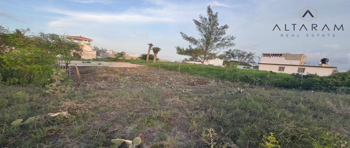 Foto de terreno habitacional en venta en  , ciudad madero centro, ciudad madero, tamaulipas, 0 No. 03
