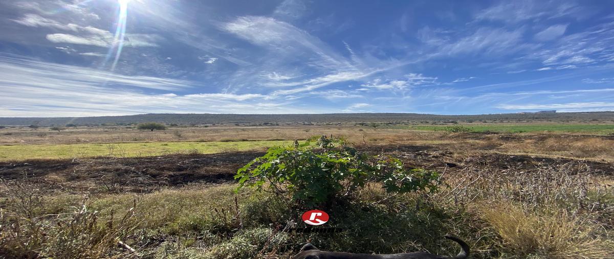 Foto de terreno habitacional en venta en  , ciudad marqués, el marqués, querétaro, 27614705 No. 03