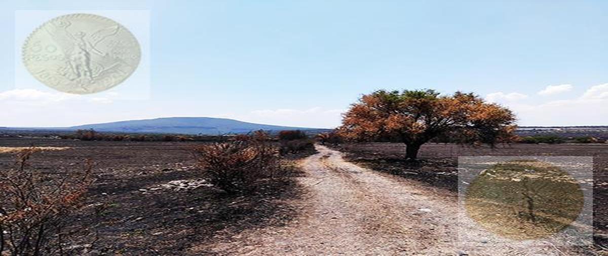 Foto de terreno habitacional en venta en  , ciudad marqués, el marqués, querétaro, 0 No. 04
