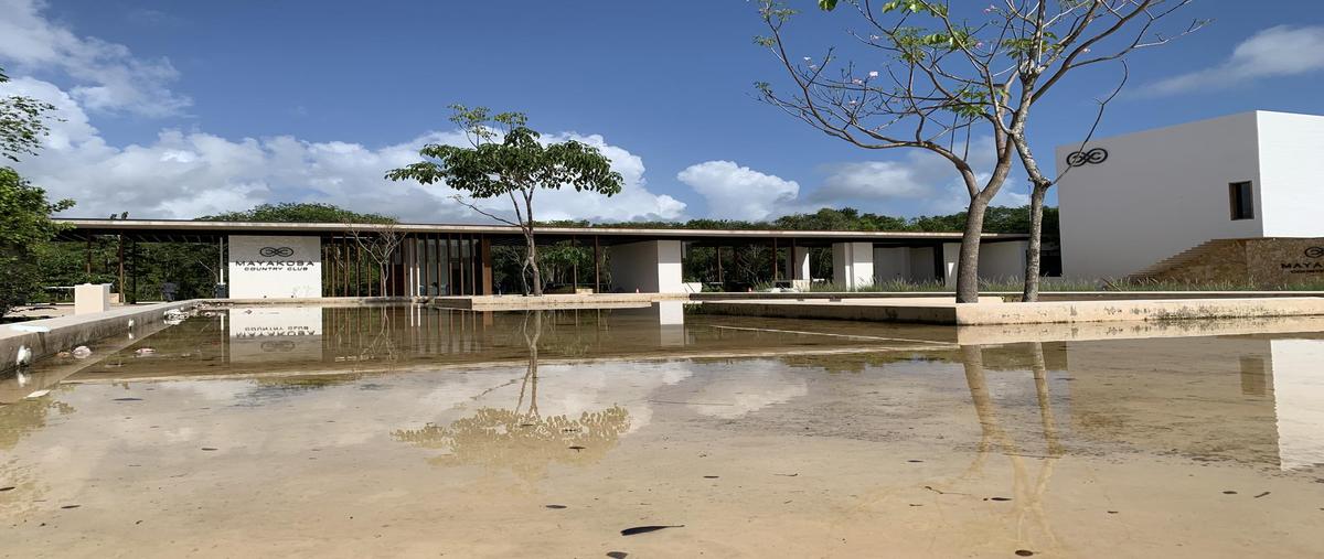 Foto de terreno habitacional en venta en  , ciudad mayakoba, solidaridad, quintana roo, 0 No. 05