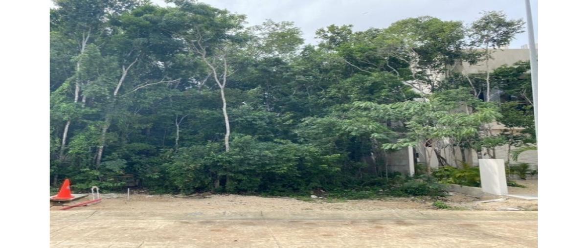 Foto de terreno habitacional en , ciudad mayakoba, solidaridad, quintana roo, 0 foto 01 Foto de terreno habitacional en venta en , ciudad mayakoba, solidaridad, quintana roo, 0 No. 01