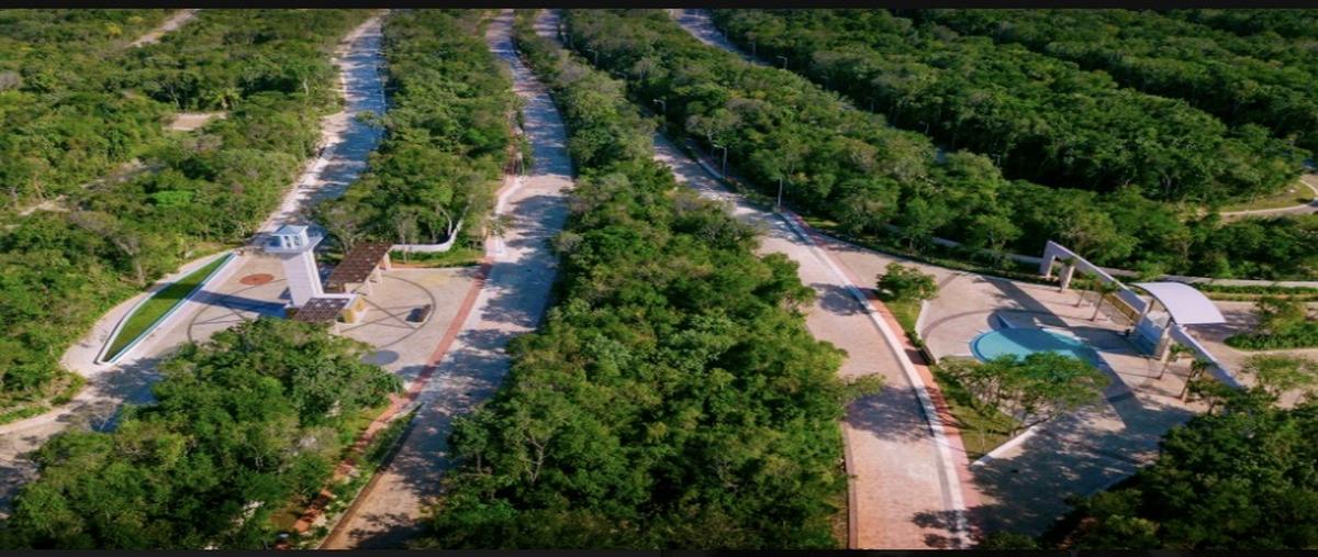 Foto de terreno habitacional en venta en  , ciudad mayakoba, solidaridad, quintana roo, 0 No. 05
