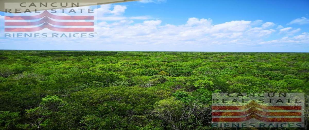 Foto de casa en , ciudad mayakoba, solidaridad, quintana roo, 29824916 foto 05 Foto de casa en venta en , ciudad mayakoba, solidaridad, quintana roo, 29824916 No. 05