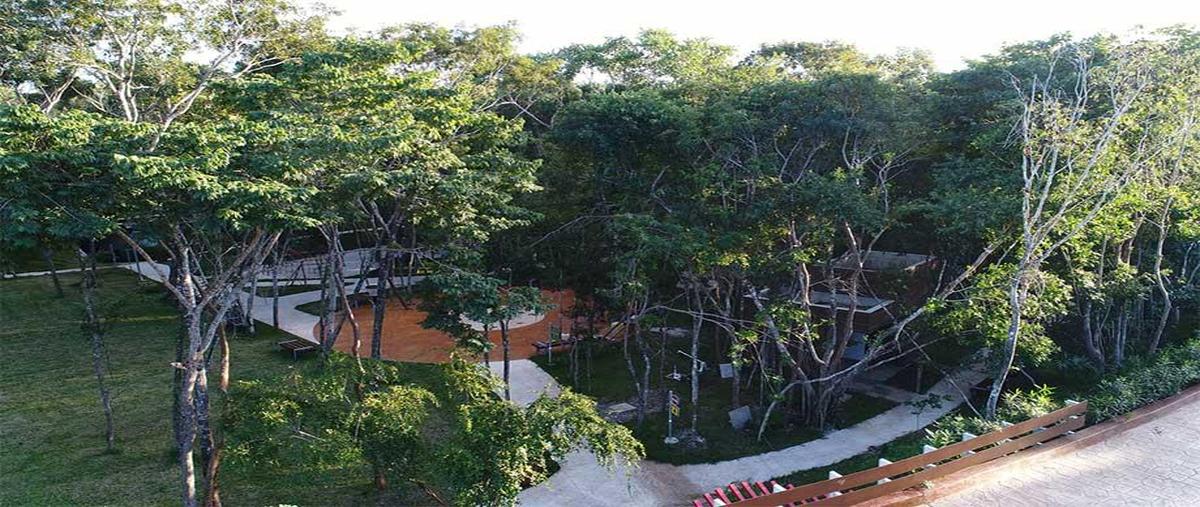 Foto de terreno habitacional en venta en  , ciudad mayakoba, solidaridad, quintana roo, 30340429 No. 05
