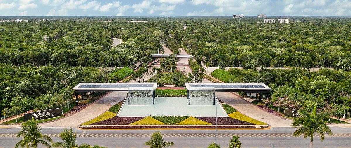 Foto de terreno habitacional en venta en  , ciudad mayakoba, solidaridad, quintana roo, 30804553 No. 04