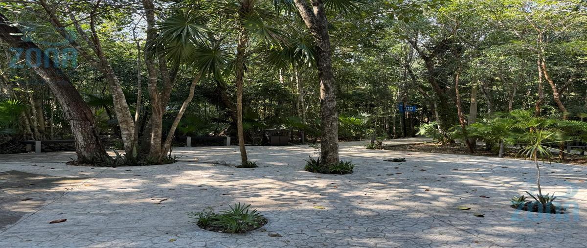 Foto de terreno habitacional en venta en  , ciudad mayakoba, solidaridad, quintana roo, 0 No. 05