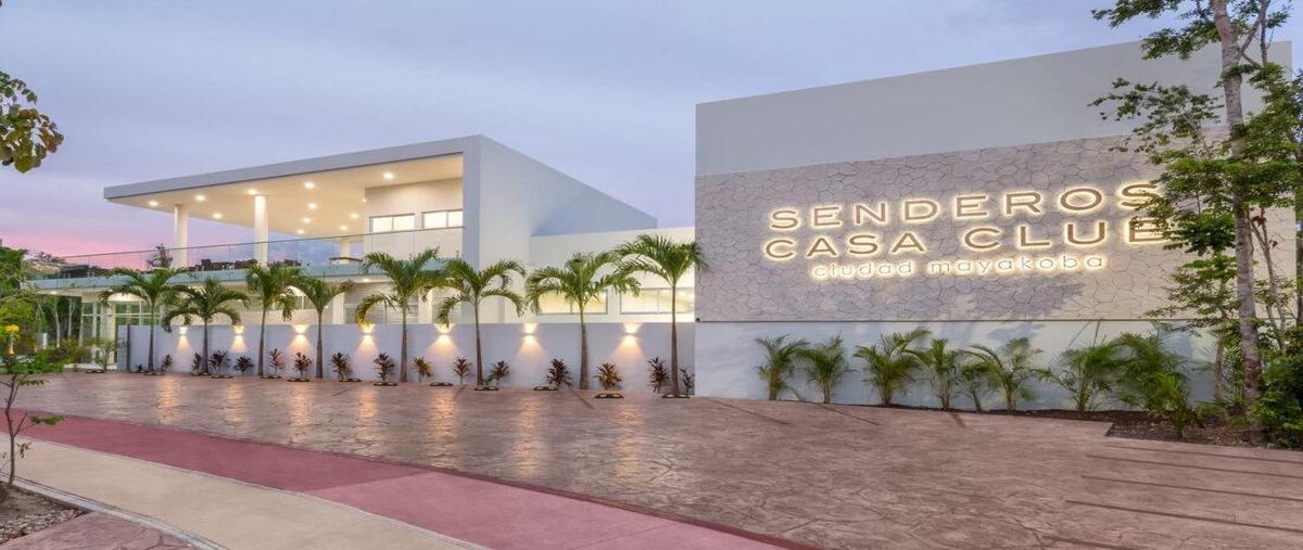 Foto de terreno habitacional en venta en  , ciudad mayakoba, solidaridad, quintana roo, 0 No. 04
