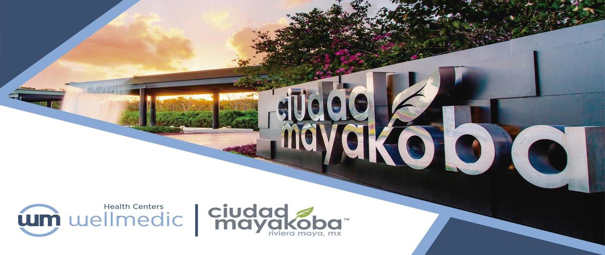 Foto de local en , ciudad mayakoba, solidaridad, quintana roo, 31028950 foto 03 Foto de local en venta en , ciudad mayakoba, solidaridad, quintana roo, 31028950 No. 03