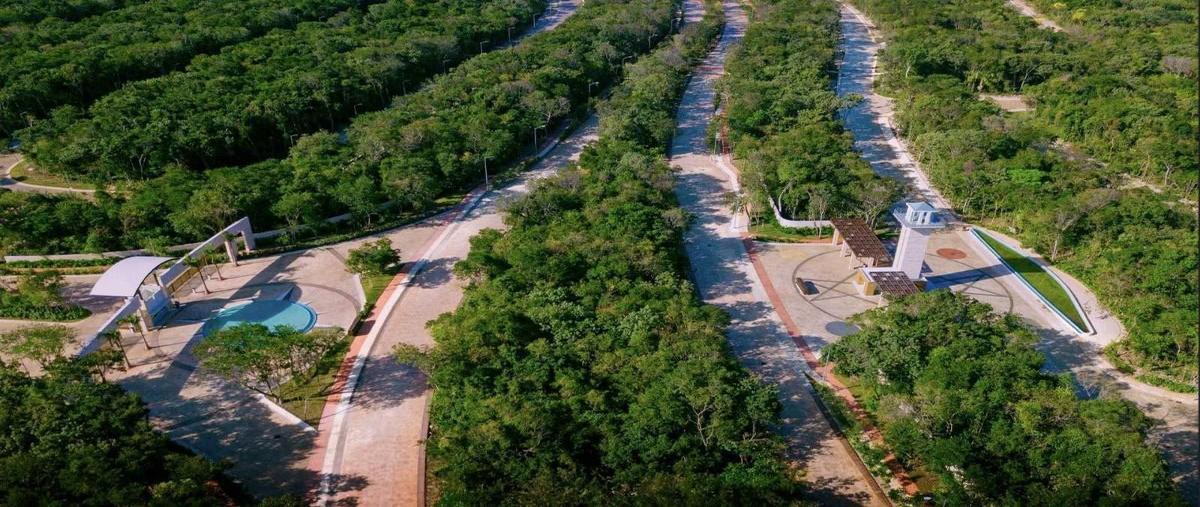 Foto de terreno habitacional en venta en  , ciudad mayakoba, solidaridad, quintana roo, 0 No. 03