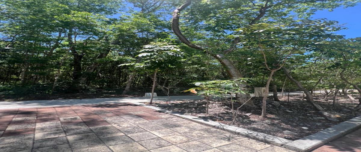 Foto de terreno habitacional en , ciudad mayakoba, solidaridad, quintana roo, 0 foto 05 Foto de terreno habitacional en venta en , ciudad mayakoba, solidaridad, quintana roo, 0 No. 05