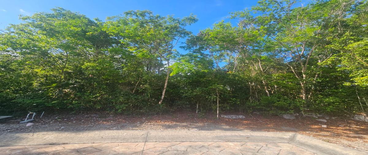 Foto de terreno habitacional en venta en  , ciudad mayakoba, solidaridad, quintana roo, 0 No. 05