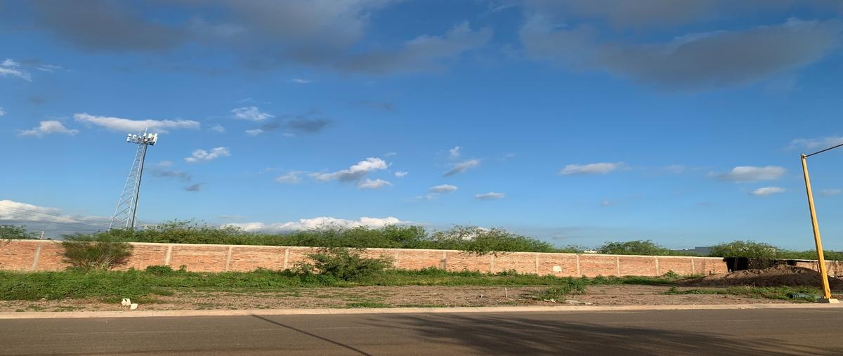 Foto de terreno habitacional en venta en  , ciudad obregón centro, cajeme, sonora, 30350085 No. 04