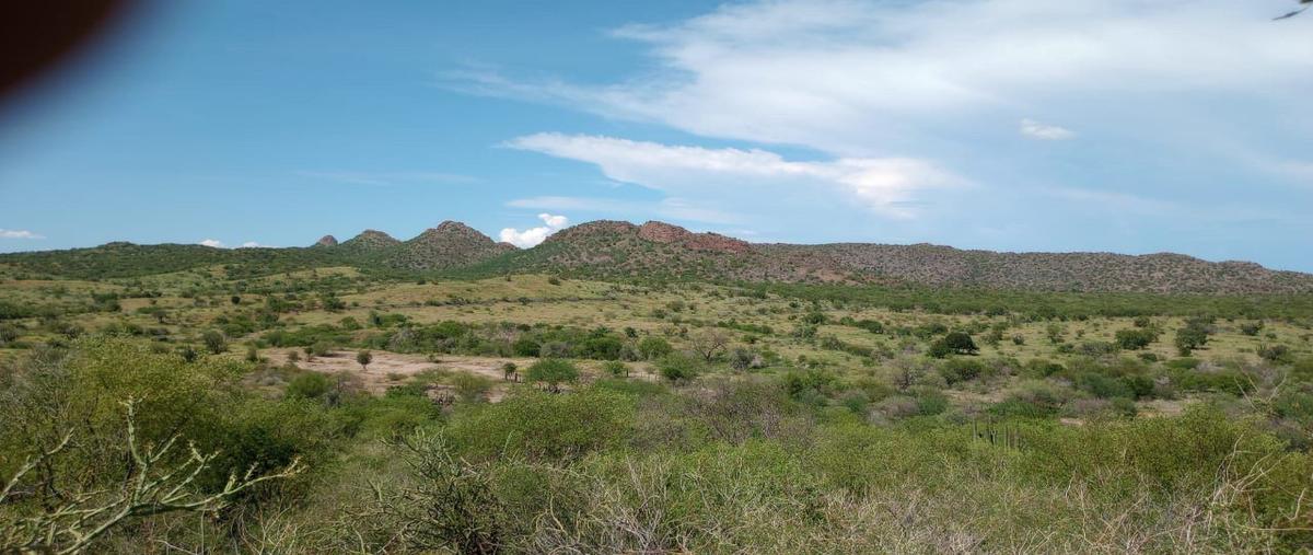 Foto de terreno habitacional en , ciudad obregón centro, cajeme, sonora, 0 foto 01 Foto de terreno habitacional en venta en , ciudad obregón centro, cajeme, sonora, 0 No. 01