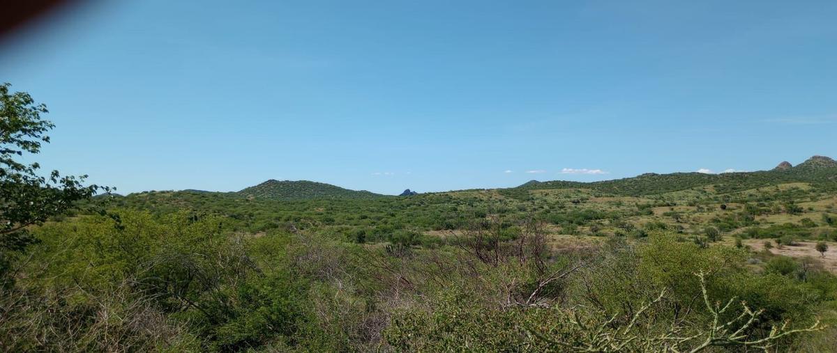 Foto de terreno habitacional en , ciudad obregón centro, cajeme, sonora, 0 foto 03 Foto de terreno habitacional en venta en , ciudad obregón centro, cajeme, sonora, 0 No. 03