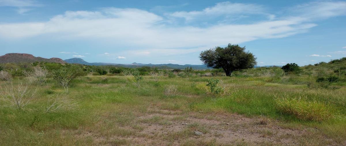 Foto de terreno habitacional en , ciudad obregón centro, cajeme, sonora, 0 foto 04 Foto de terreno habitacional en venta en , ciudad obregón centro, cajeme, sonora, 0 No. 04