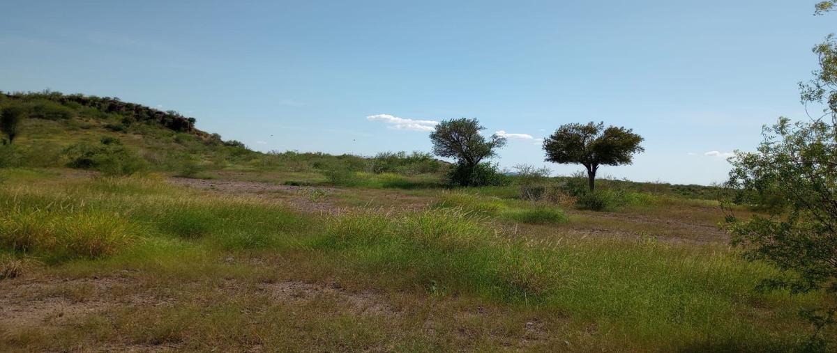 Foto de terreno habitacional en , ciudad obregón centro, cajeme, sonora, 0 foto 05 Foto de terreno habitacional en venta en , ciudad obregón centro, cajeme, sonora, 0 No. 05