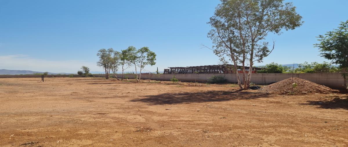 Foto de terreno habitacional en venta en  , ciudad universitaria, chihuahua, chihuahua, 0 No. 04