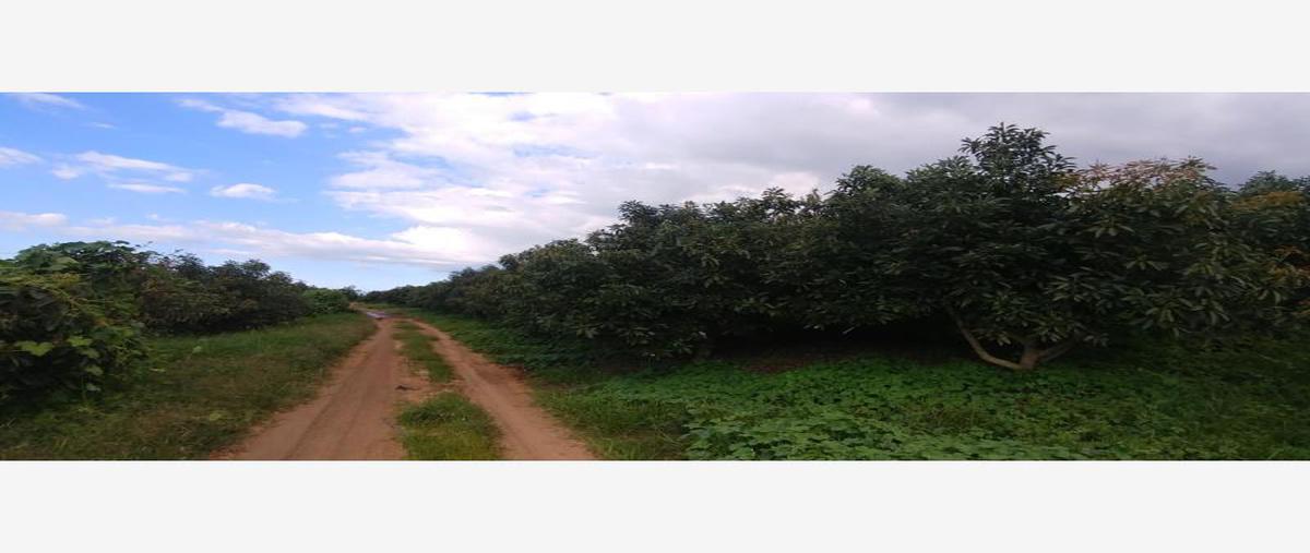 Foto de terreno comercial en venta en  , ciudad universitaria, guadalajara, jalisco, 8627677 No. 01