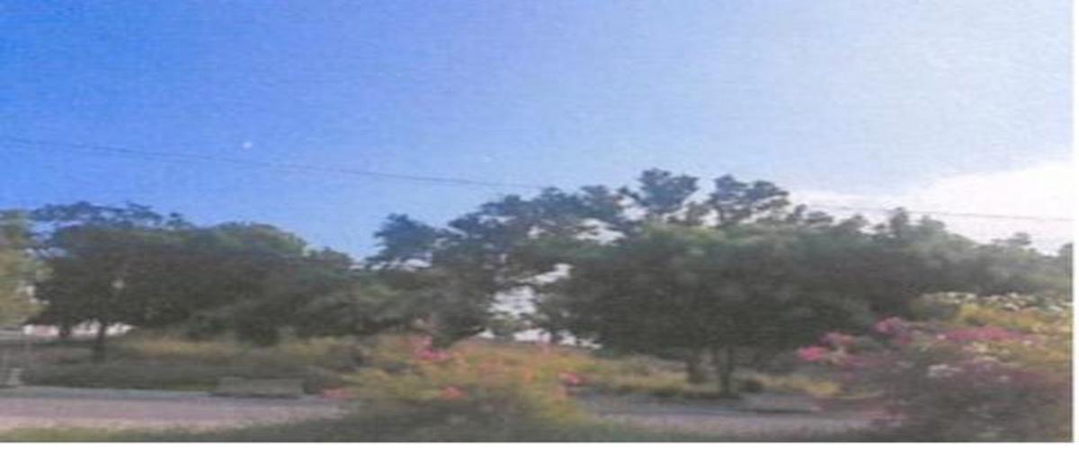 Foto de terreno habitacional en venta en  , ciudad valles, ciudad valles, san luis potosí, 0 No. 03