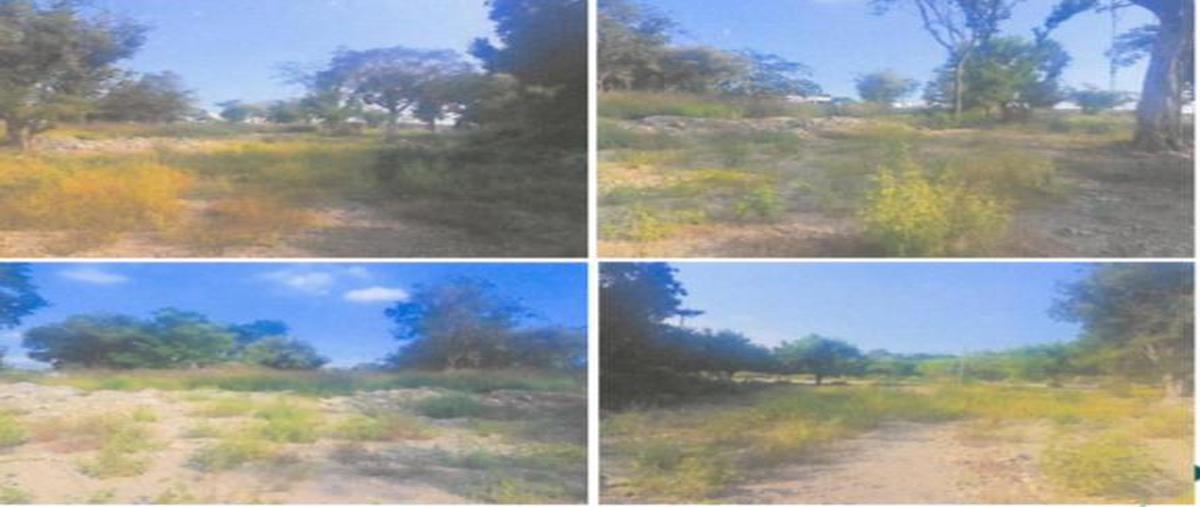 Foto de terreno habitacional en venta en  , ciudad valles, ciudad valles, san luis potosí, 0 No. 05