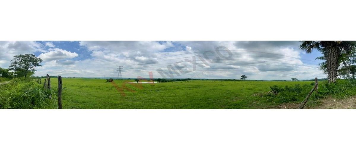 Foto de terreno habitacional en venta en  , ciudad valles, ciudad valles, san luis potosí, 27878856 No. 03