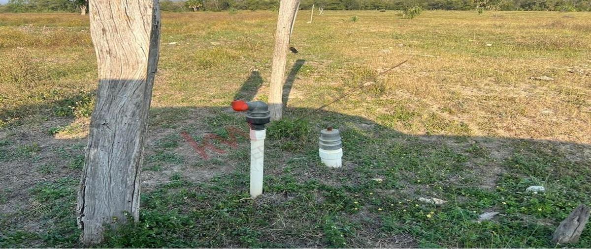 Foto de terreno habitacional en venta en  , ciudad valles, ciudad valles, san luis potosí, 27878856 No. 05