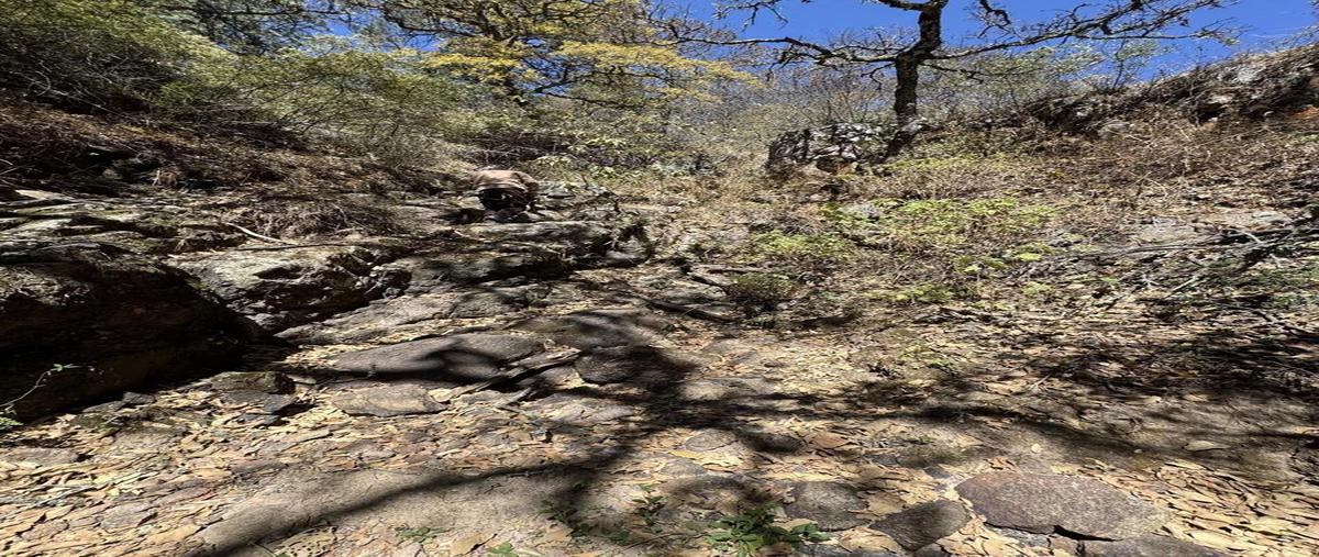 Foto de terreno habitacional en venta en  , ciudad victoria, victoria, guanajuato, 30145080 No. 03