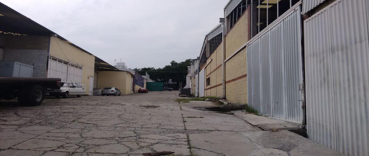 Foto de bodega en renta en  , civac, jiutepec, morelos, 16827691 No. 02
