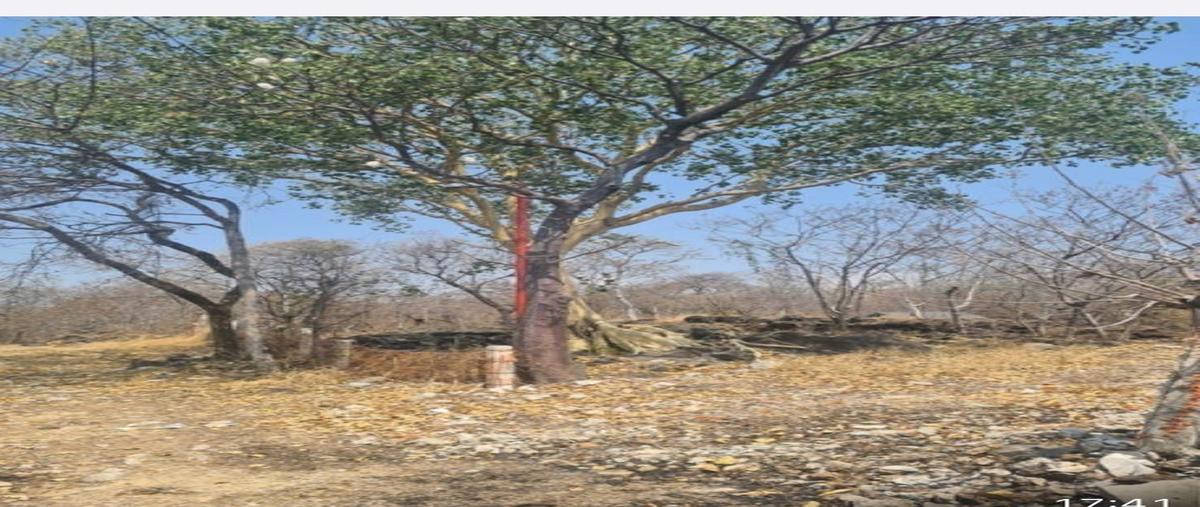 Foto de terreno habitacional en venta en  , civac, jiutepec, morelos, 27990864 No. 03