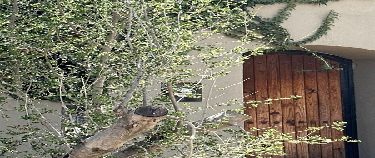 Foto de casa en venta en claustro , centro, san miguel de allende, guanajuato, 0 No. 03