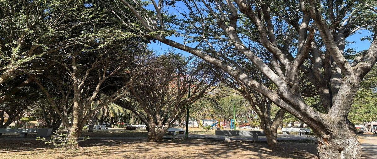 Foto de casa en claveles , las bóvedas, zapopan, jalisco, 30678639 foto 03 Foto de casa en venta en claveles , las bóvedas, zapopan, jalisco, 30678639 No. 03