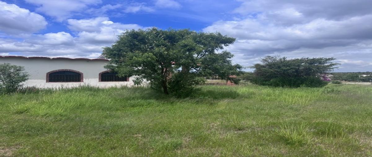 Foto de terreno habitacional en venta en  , clavellinas, asientos, aguascalientes, 30232971 No. 03