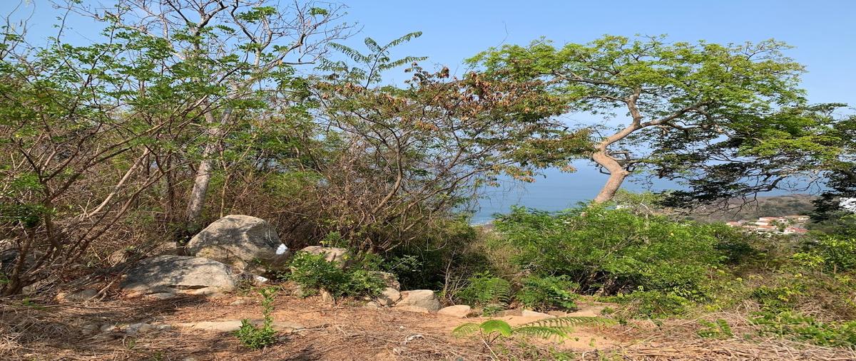 Foto de terreno habitacional en venta en cliper , brisas del marqués, acapulco de juárez, guerrero, 25193989 No. 05