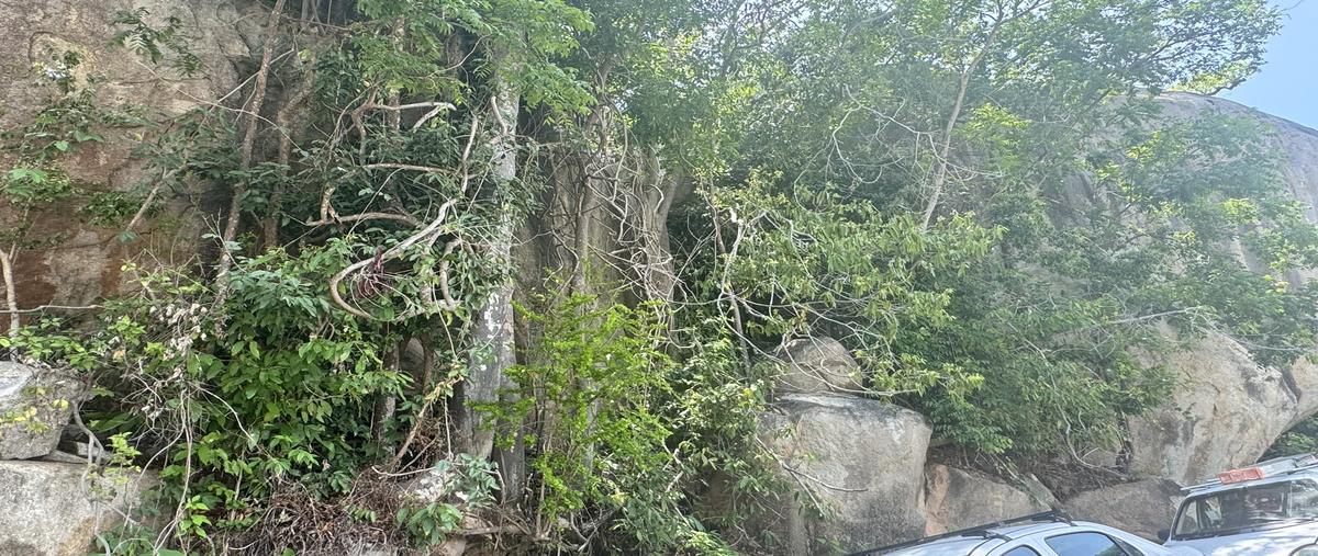 Foto de terreno habitacional en venta en cliper , brisas del marqués, acapulco de juárez, guerrero, 30090942 No. 05