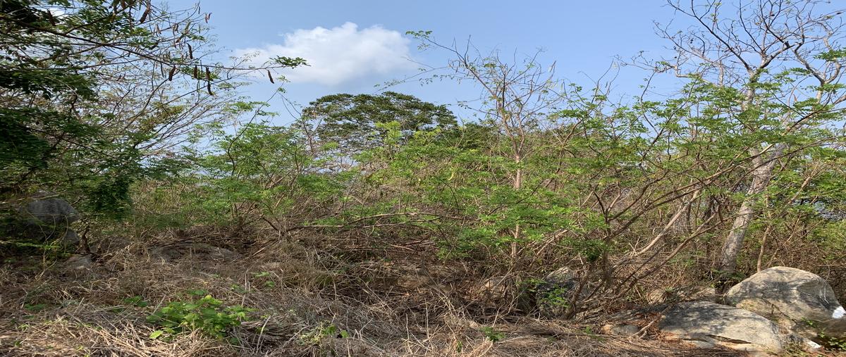 Foto de terreno habitacional en venta en clipper , brisas del marqués, acapulco de juárez, guerrero, 21467757 No. 04