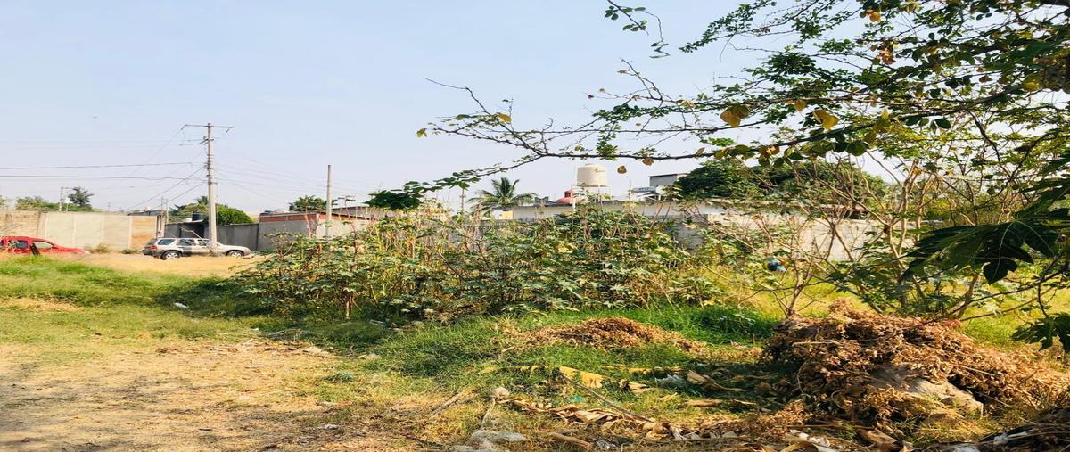 Foto de terreno habitacional en venta en  , cliserio alanís (san gaspar), jiutepec, morelos, 0 No. 03
