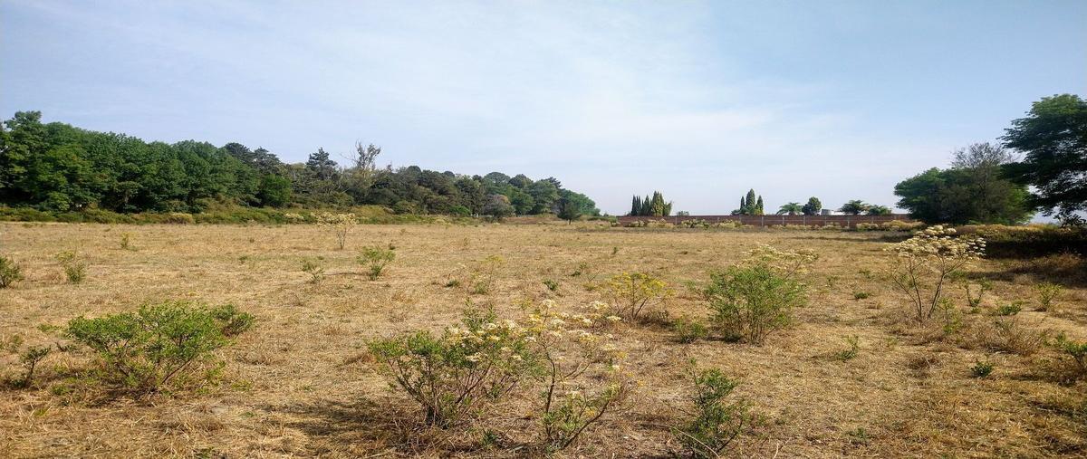 Foto de terreno habitacional en , club campestre, zacapu, michoacán de ocampo, 26021912 foto 02 Foto de terreno habitacional en venta en , club campestre, zacapu, michoacán de ocampo, 26021912 No. 02