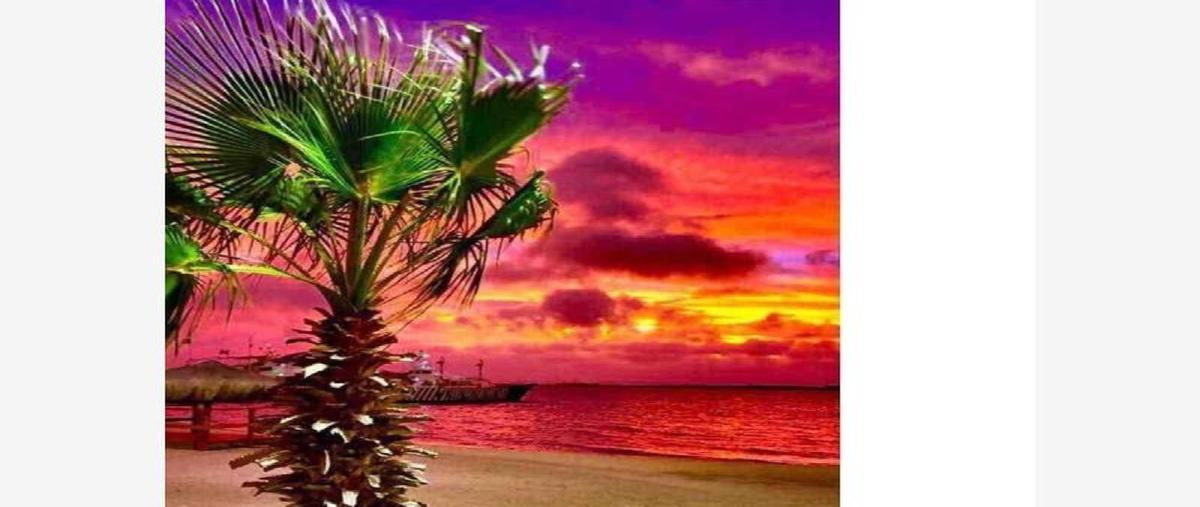 Foto de departamento en venta en club de cortez ., mar de cortez, la paz, baja california sur, 30319378 No. 03