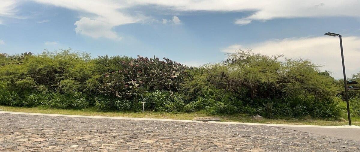 Foto de terreno habitacional en venta en  , club de golf amanali, tepeji del río de ocampo, hidalgo, 0 No. 04