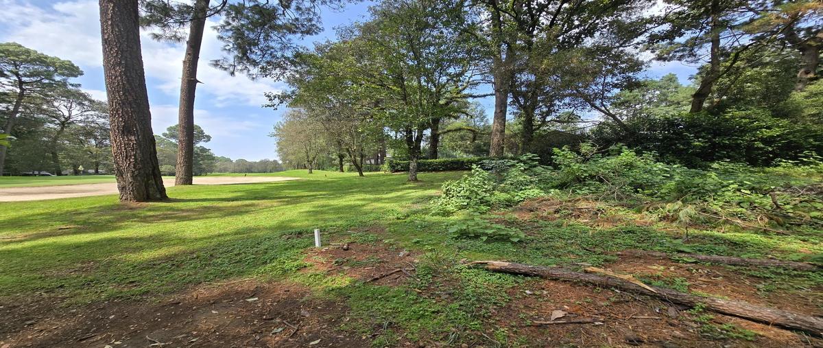 Foto de terreno habitacional en venta en club de golf avandaro , avándaro, valle de bravo, méxico, 30413610 No. 03